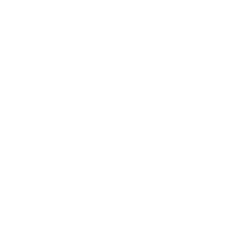 LOGO VERSION (14) logo ELYS